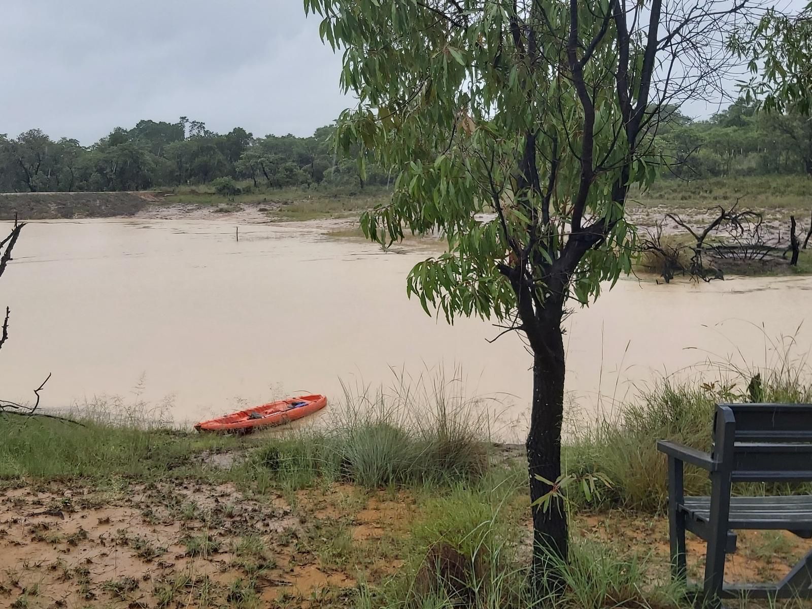 Izintaba Private Game Reserve Vaalwater Limpopo Province South Africa River, Nature, Waters