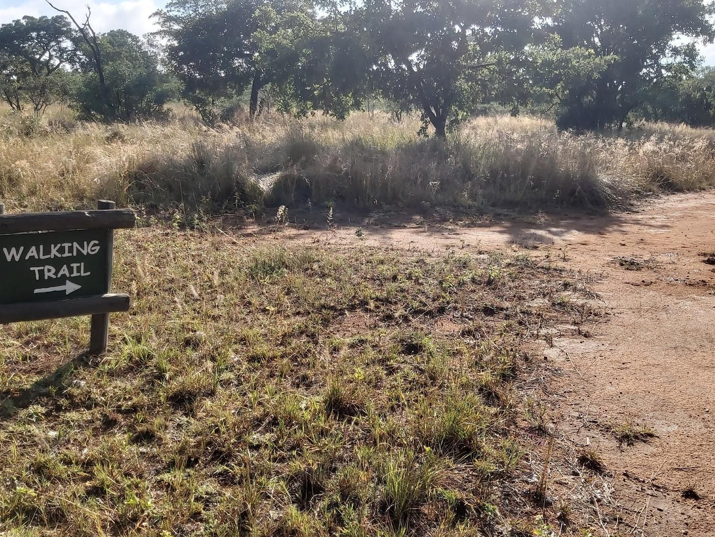 Izintaba Private Game Reserve Vaalwater Limpopo Province South Africa Field, Nature, Agriculture, Forest, Plant, Tree, Wood, Cemetery, Religion, Grave