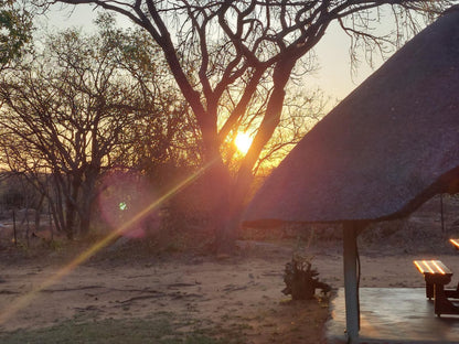 Izintaba Private Game Reserve Vaalwater Limpopo Province South Africa Sunset, Nature, Sky