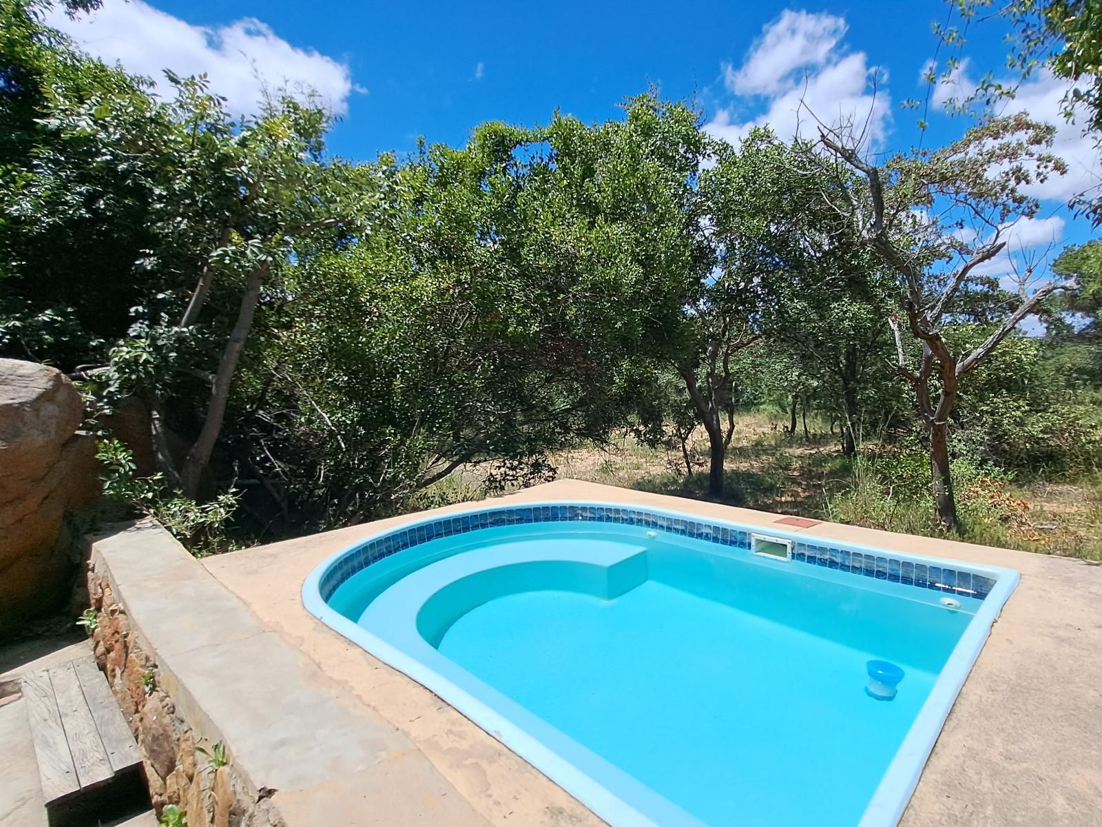 Izintaba Private Game Reserve Vaalwater Limpopo Province South Africa Garden, Nature, Plant, Swimming Pool