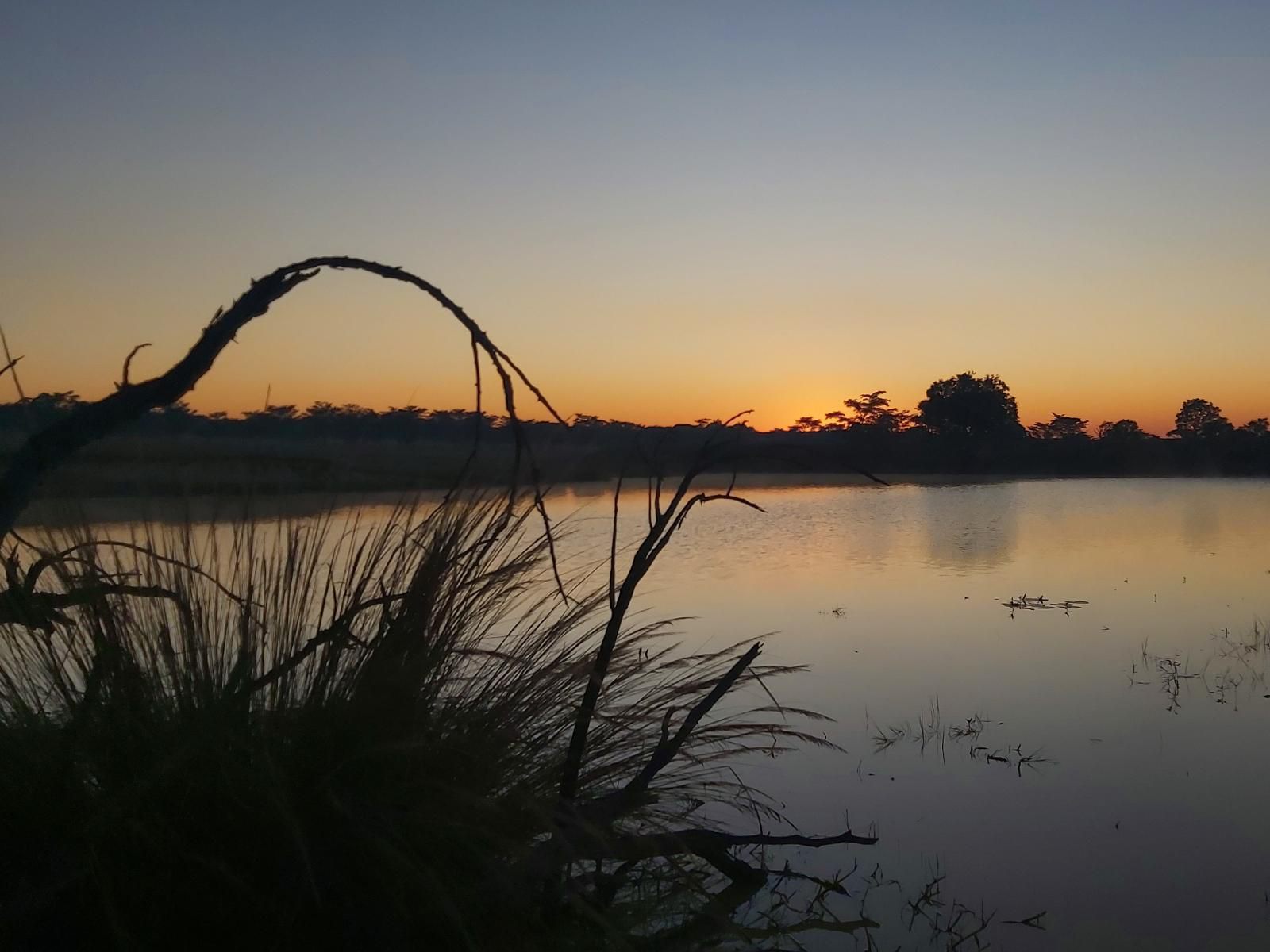 Izintaba Private Game Reserve Vaalwater Limpopo Province South Africa Sky, Nature, Sunset