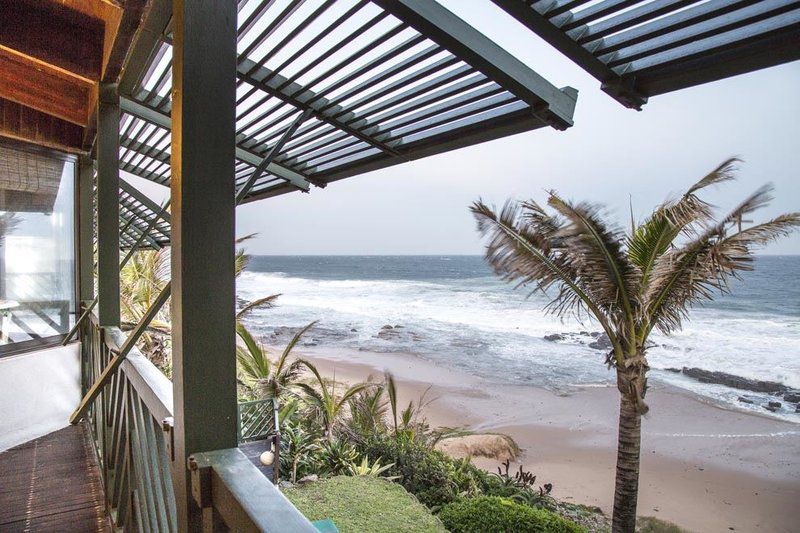 Izwa Manzi Sheffield Beach Ballito Kwazulu Natal South Africa Beach, Nature, Sand, Palm Tree, Plant, Wood, Ocean, Waters