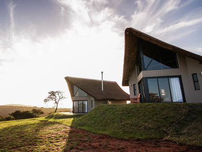 J Bay Zebra Lodge Thornhill Port Elizabeth Eastern Cape South Africa Building, Architecture