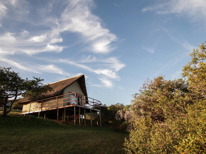 Country Luxury Safari Tent @ J-Bay Zebra Lodge