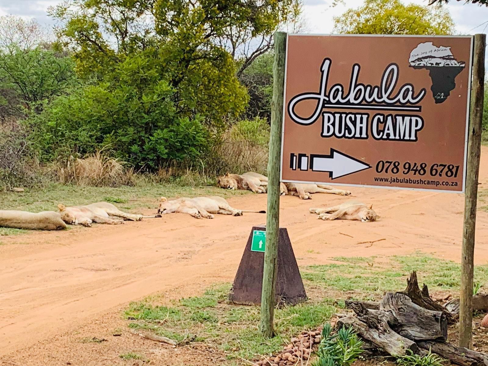 Jabula Bush Camp Dinokeng Game Reserve Gauteng South Africa Sign