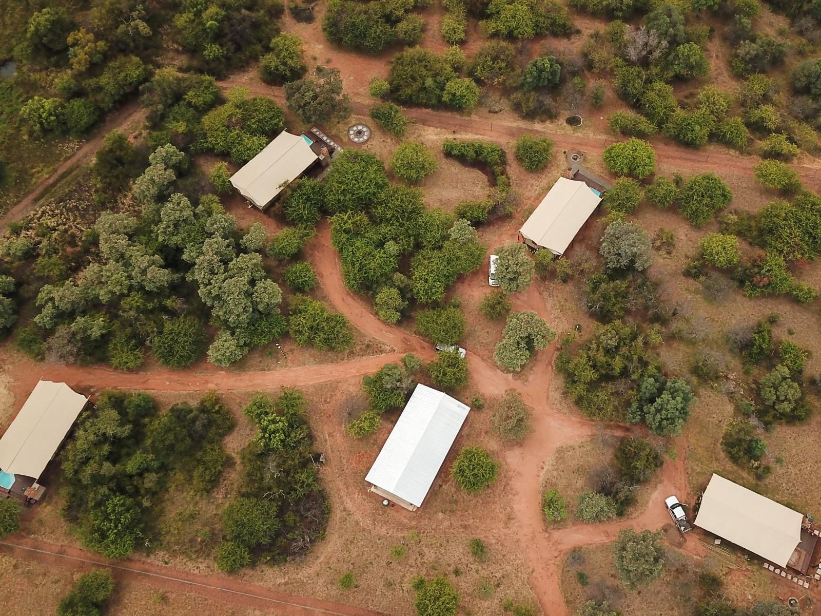 Jabula Bush Camp Dinokeng Game Reserve Gauteng South Africa Sepia Tones, Aerial Photography