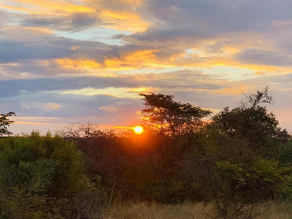Jabula Bush Camp Dinokeng Game Reserve Gauteng South Africa Sky, Nature, Sunset