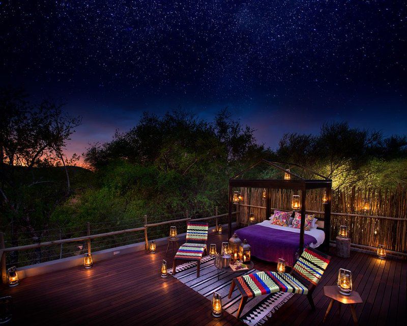 Jaci S Safari And Tree Lodges Madikwe Game Reserve North West Province South Africa Night Sky, Nature