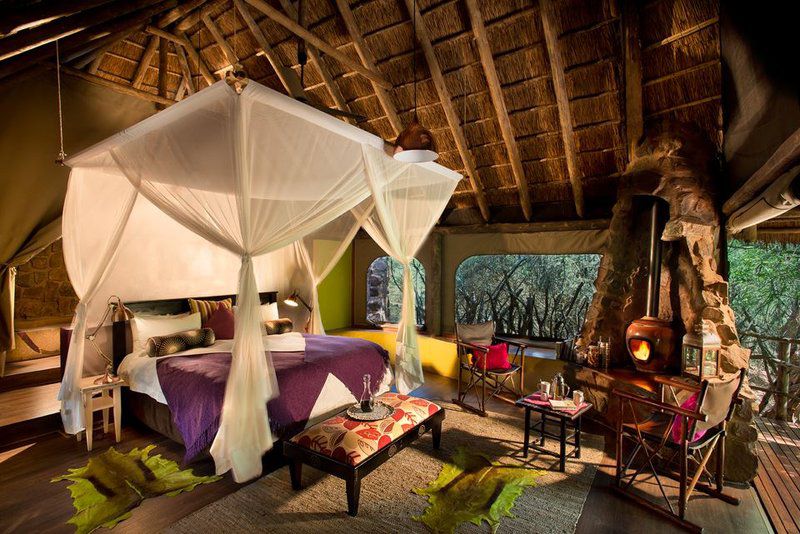 Jaci S Safari And Tree Lodges Madikwe Game Reserve North West Province South Africa 
