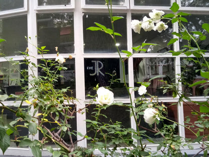 Jack Rose Inn Rosebank Johannesburg Gauteng South Africa Flower, Plant, Nature, Rose, Window, Architecture