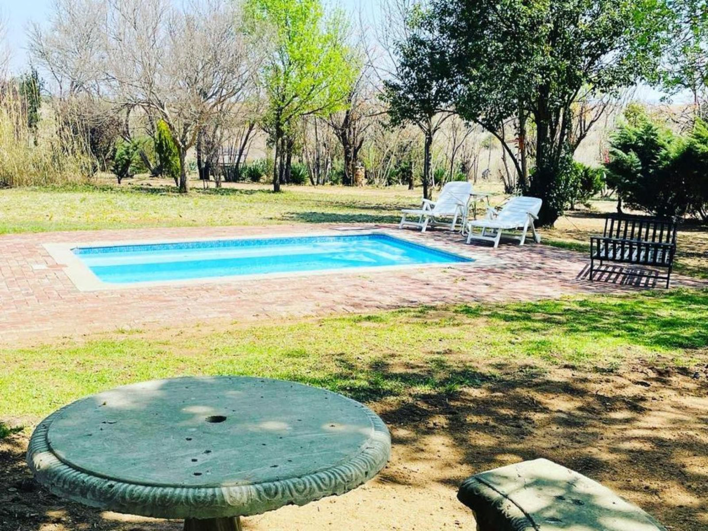 Jackalberry Guest Farm Parys Free State South Africa Garden, Nature, Plant, Swimming Pool