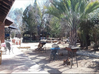 Jackalberry Guest Farm Parys Free State South Africa Unsaturated, Palm Tree, Plant, Nature, Wood