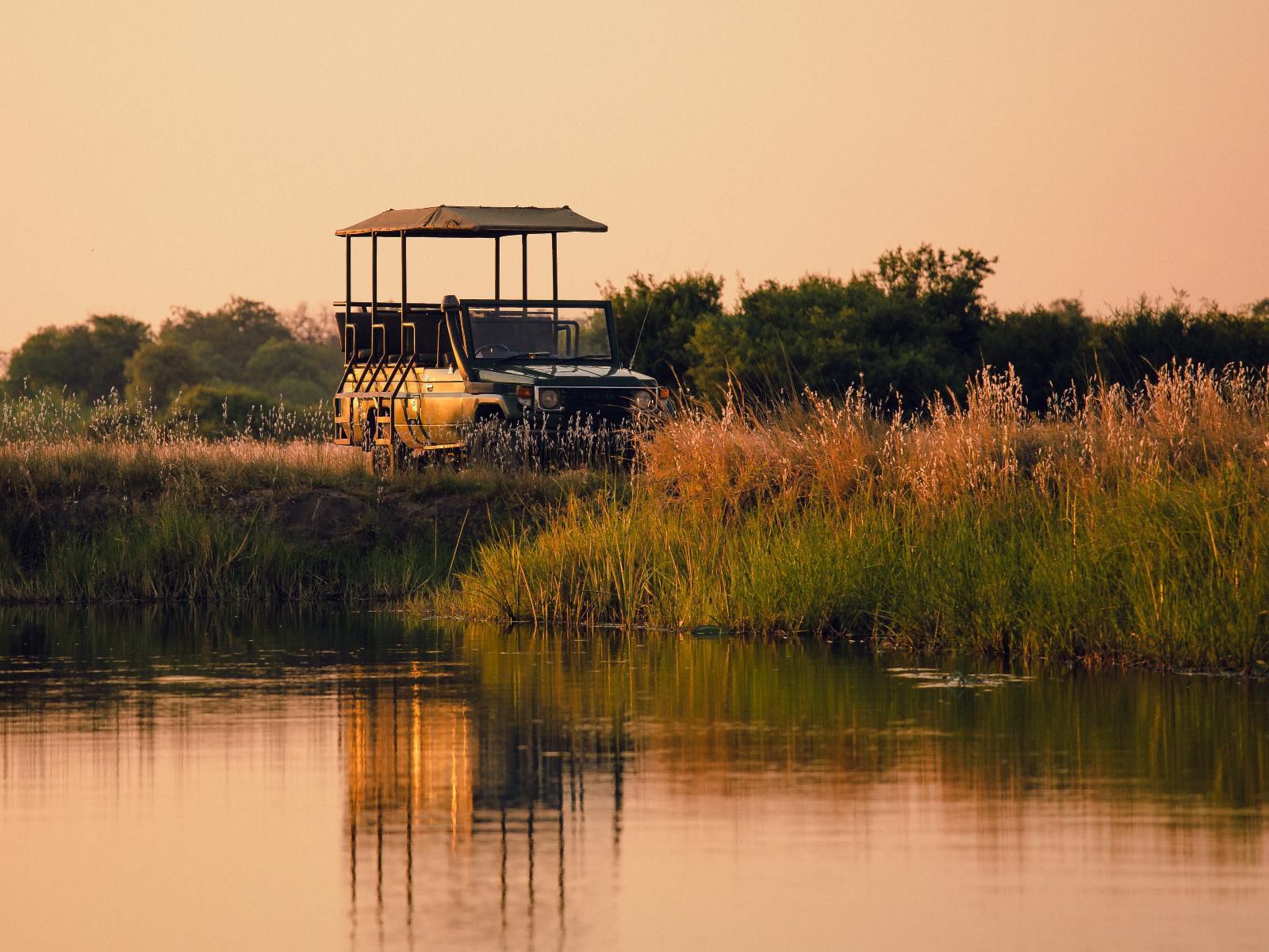 Jackalberry Tented Camp, Lowland, Nature, Vehicle