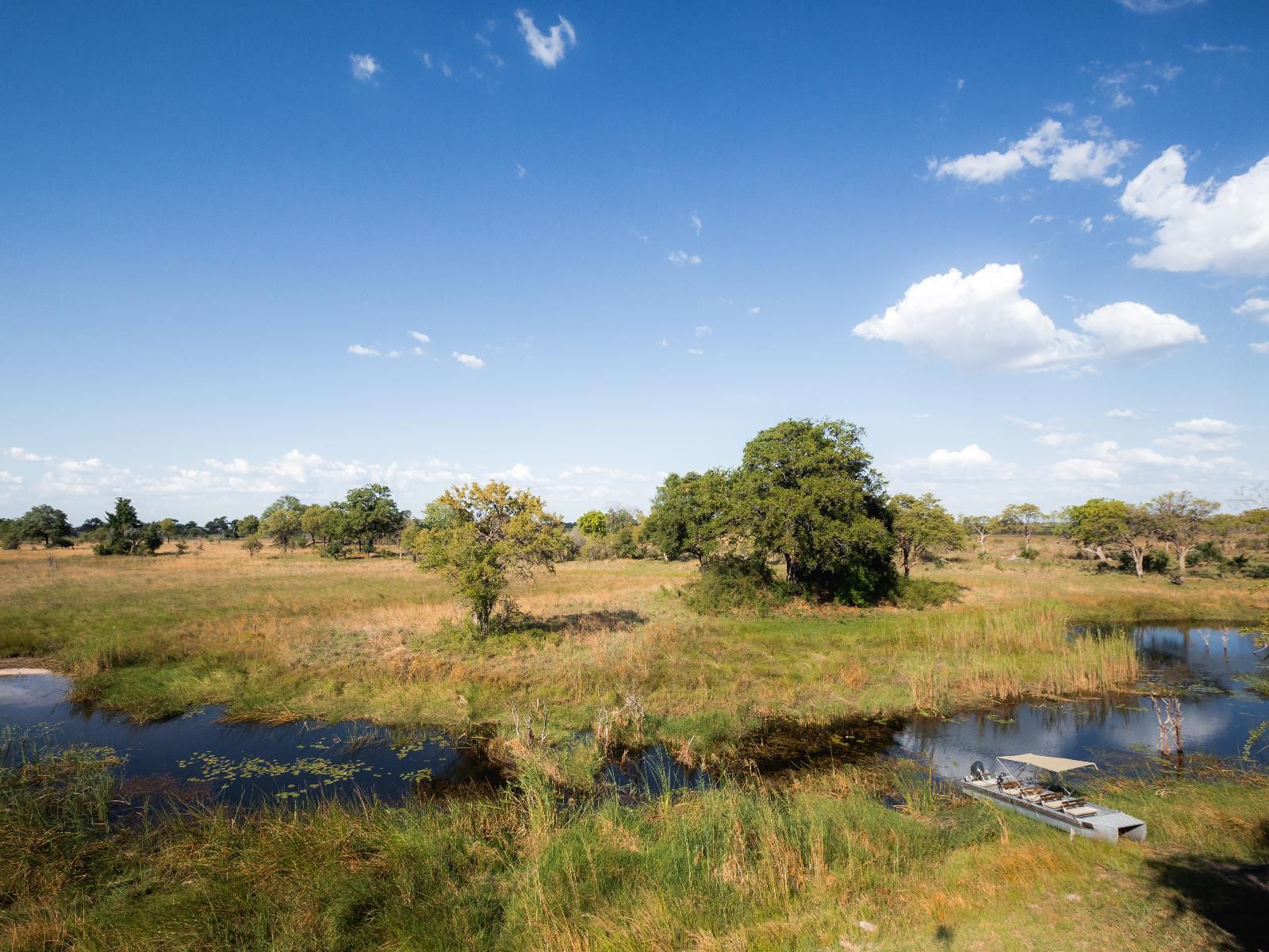 Jackalberry Tented Camp, River, Nature, Waters, Lowland