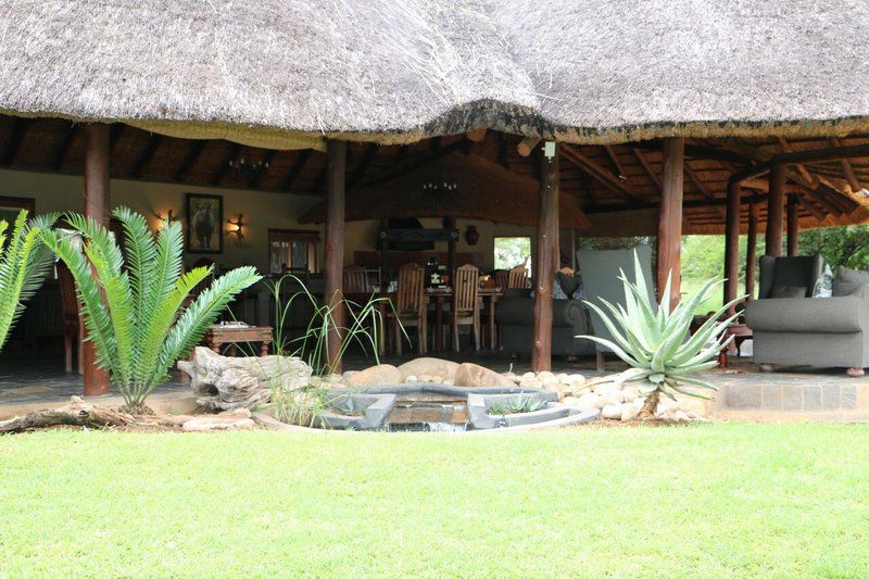 Jackalberry Lodge Thornybush Game Reserve Mpumalanga South Africa 