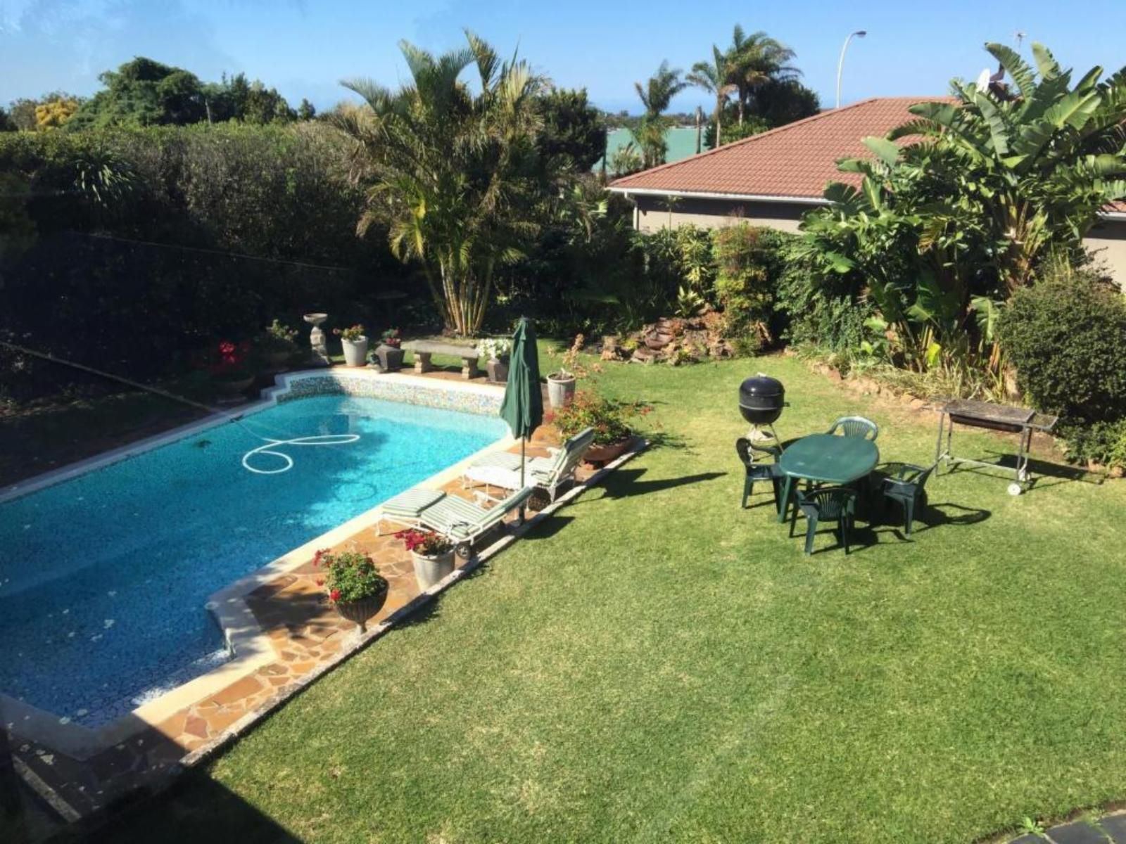 Jackie S Bed And Breakfast East London Eastern Cape South Africa Palm Tree, Plant, Nature, Wood, Garden, Swimming Pool