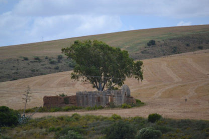 Jack S Place Bredasdorp Western Cape South Africa Building, Architecture, Ruin