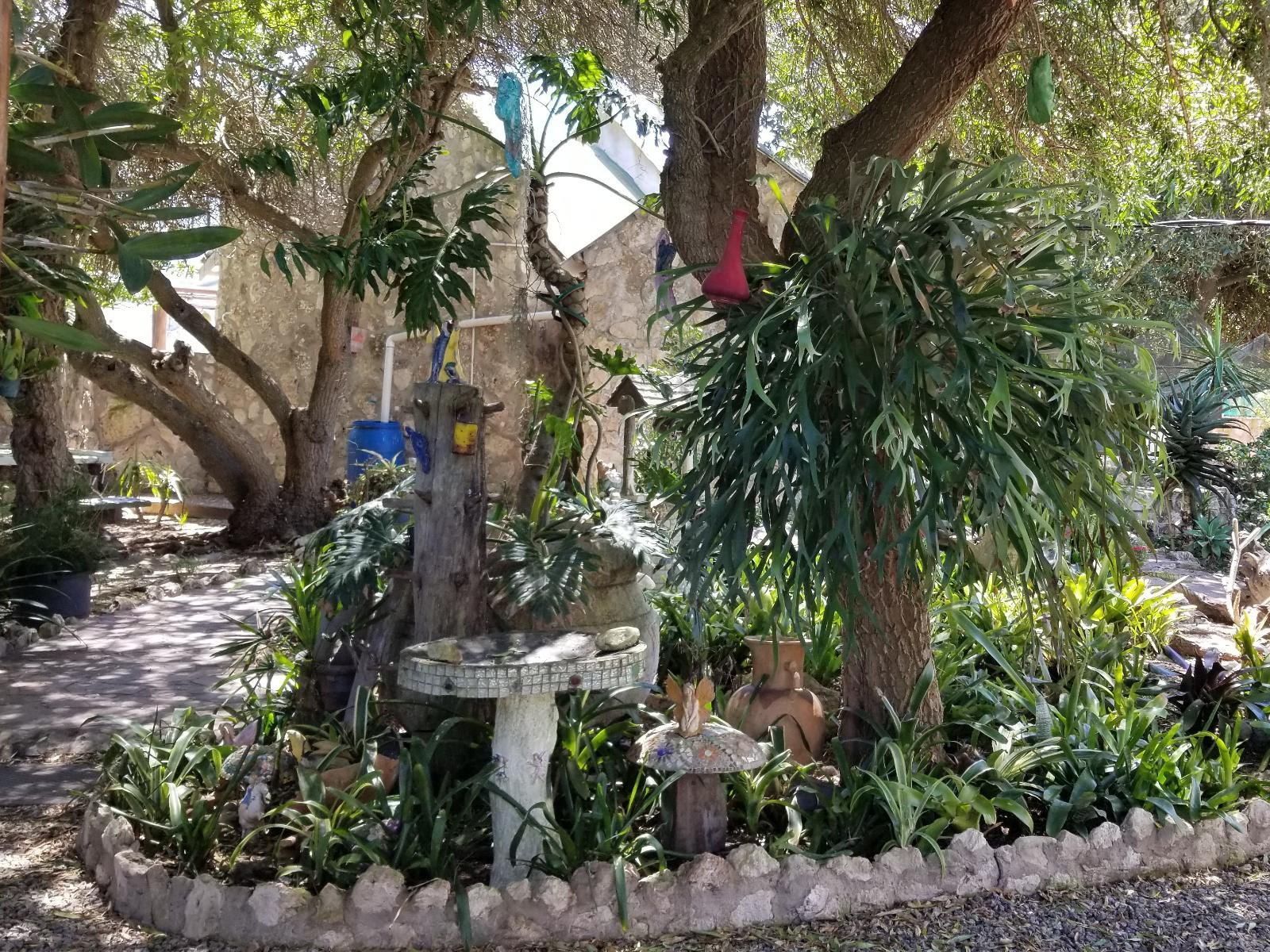 Jacobs Bay Backpackers, Palm Tree, Plant, Nature, Wood, Garden