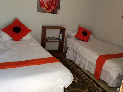 Jacobs Bay Backpackers, Chaplin 7 Bed Dormitory, Bedroom