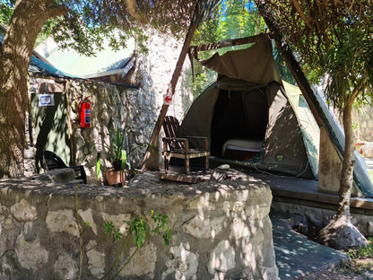 A-Frame Tent with Ensuite @ Jacobs Bay Backpackers - The Plot