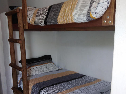 Chaplin 7 Bed Dormitory @ Jacobs Bay Backpackers - The Plot
