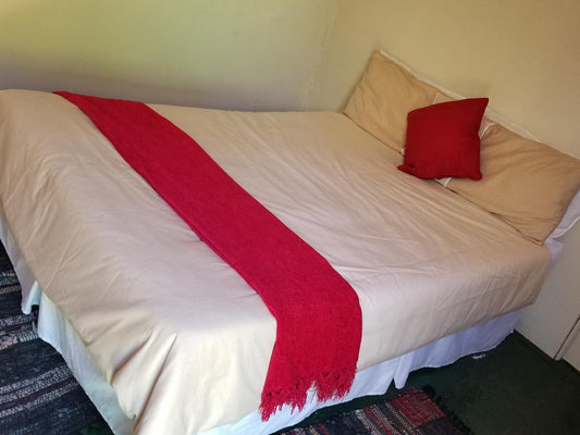 Double Room @ Jacobs Bay Backpackers - The Plot