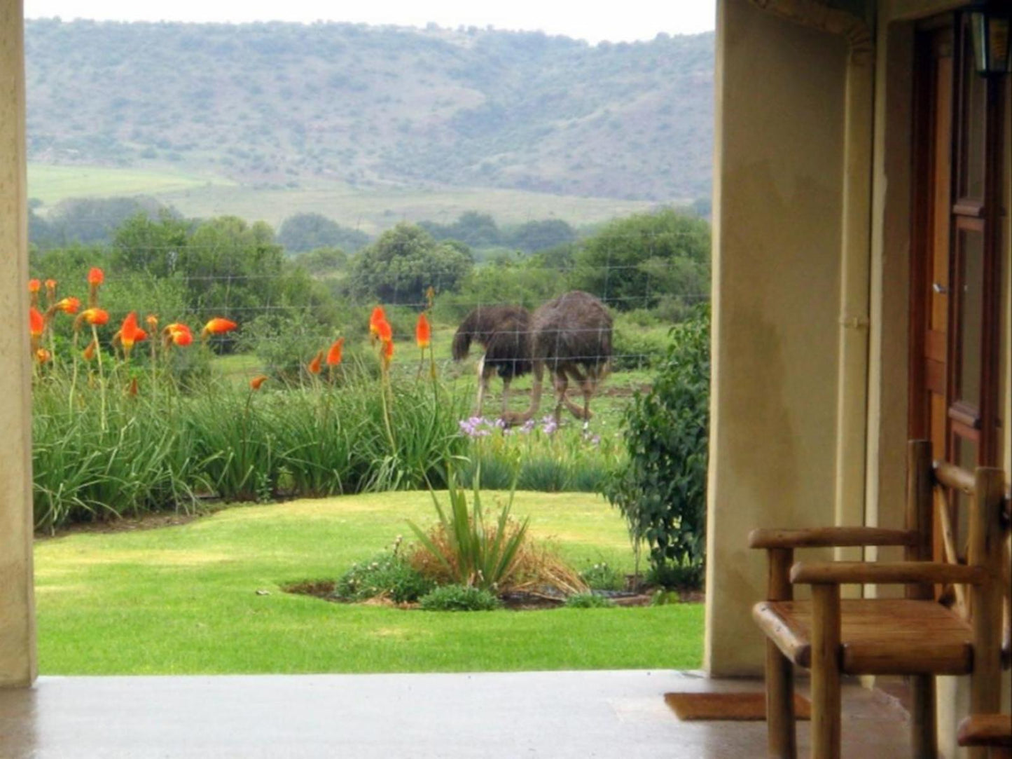 Buffalo 5 Bedroom Lodge @ Jak Strydom Private Nature Reserve