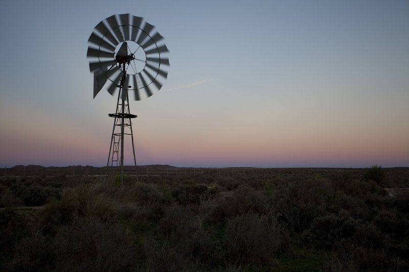 Jakhalsdans Loxton Northern Cape South Africa Lowland, Nature