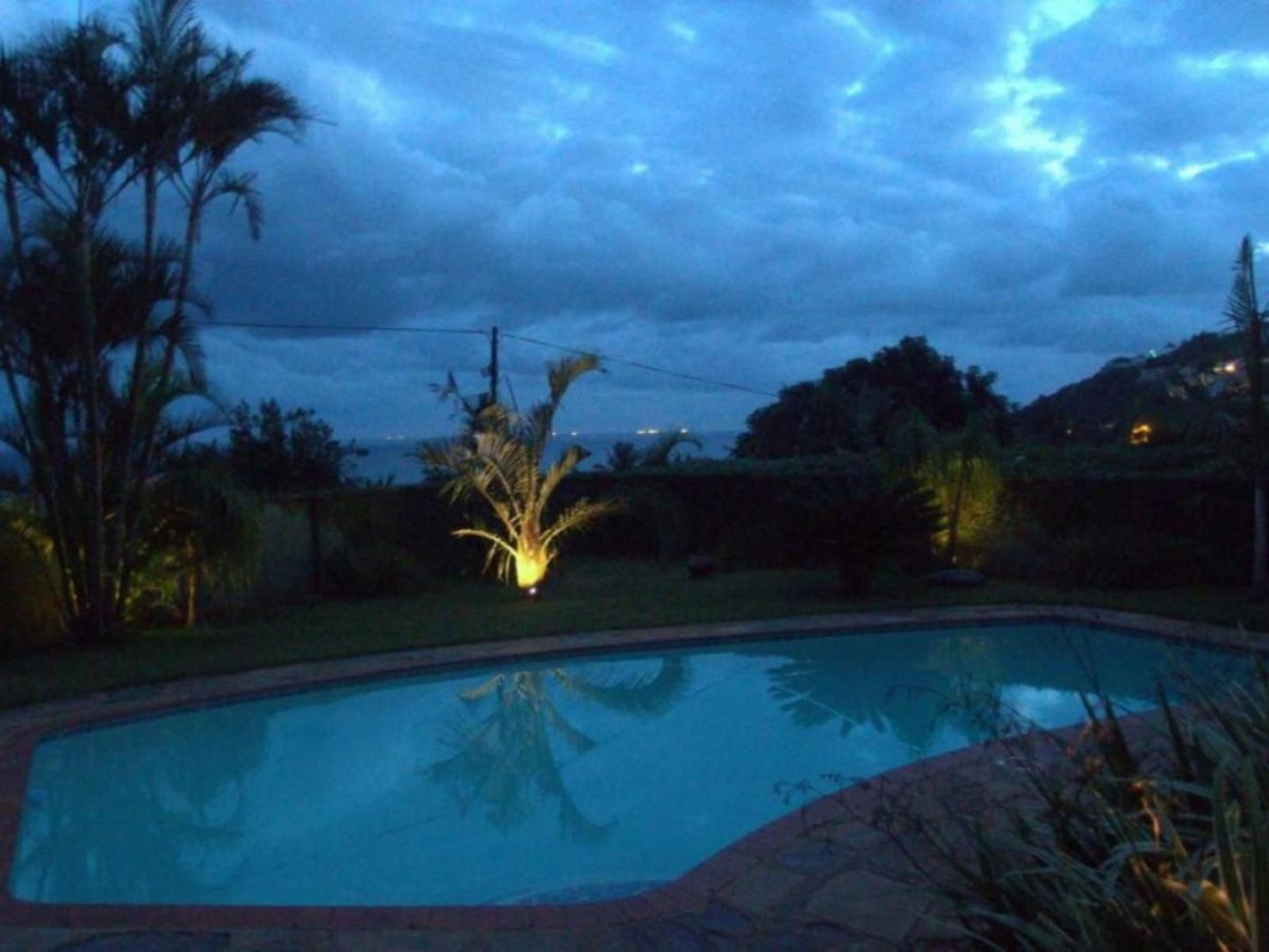 Jakita S Guest House Ballito Kwazulu Natal South Africa Palm Tree, Plant, Nature, Wood, Garden, Swimming Pool
