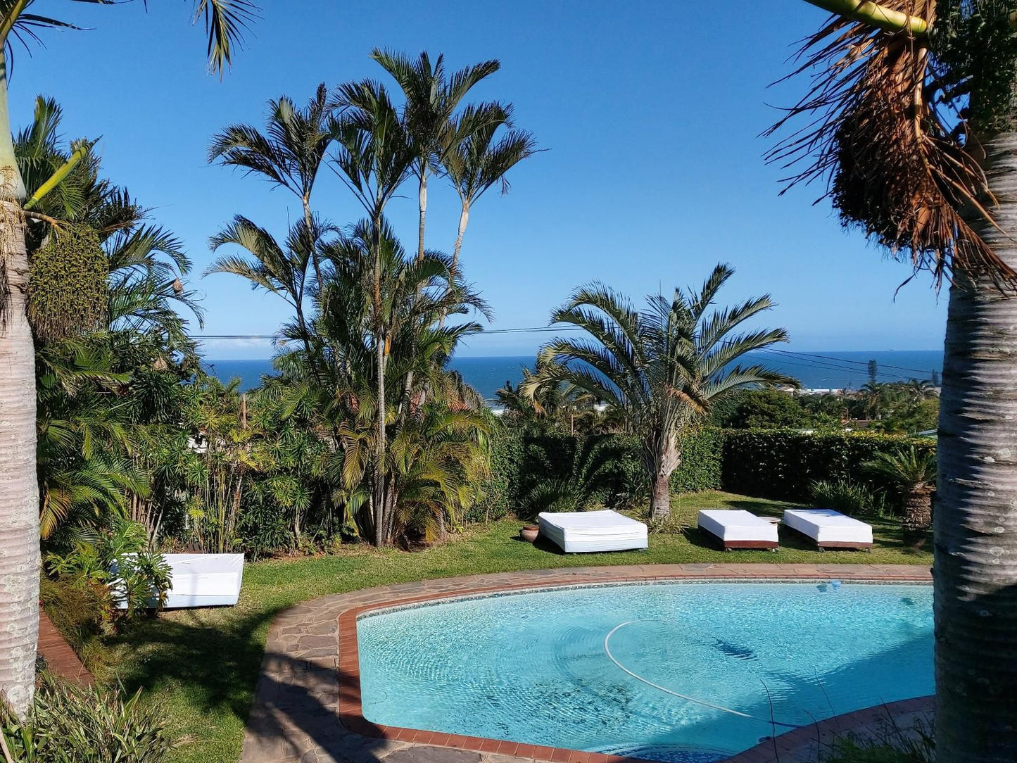 Jakita S Guest House Ballito Kwazulu Natal South Africa Beach, Nature, Sand, Palm Tree, Plant, Wood, Garden, Swimming Pool