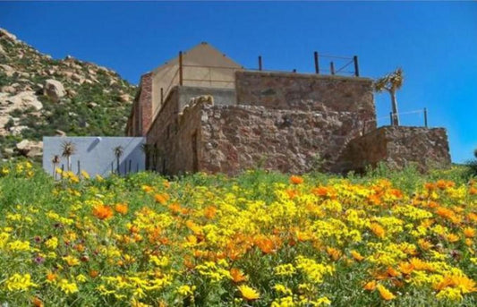 Jakkalswater Gasteplaas Nababeep Northern Cape South Africa Complementary Colors, Plant, Nature, Ruin, Architecture