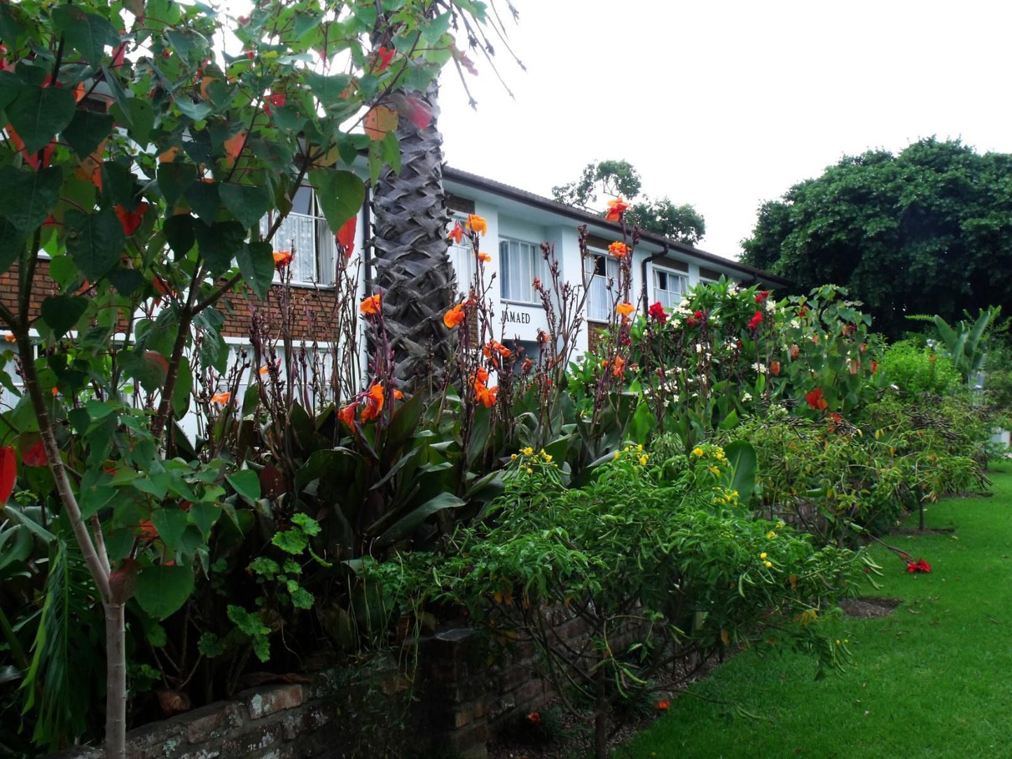 Jamaed Court Self Catering Apartments Dormehlsdrift George Western Cape South Africa House, Building, Architecture, Plant, Nature, Garden