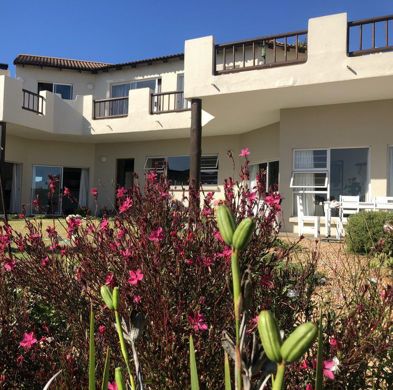 Surfer S Watch At Bruce S St Francis Bay Eastern Cape South Africa House, Building, Architecture, Plant, Nature