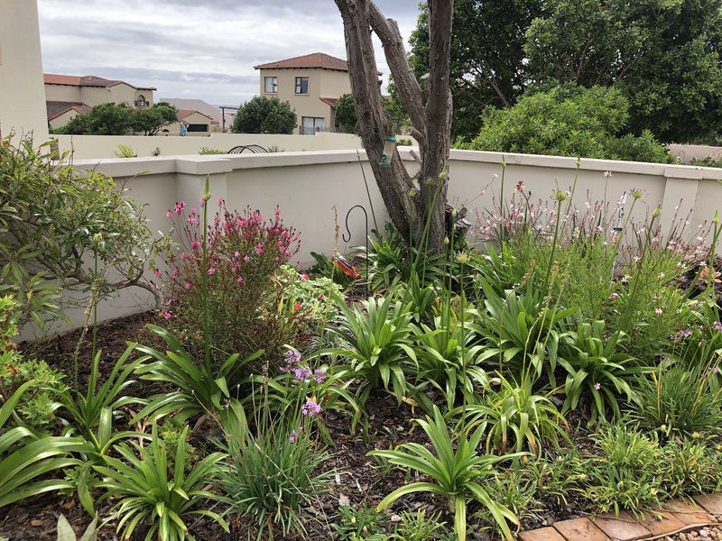 Surfer S Watch At Bruce S St Francis Bay Eastern Cape South Africa House, Building, Architecture, Palm Tree, Plant, Nature, Wood, Garden