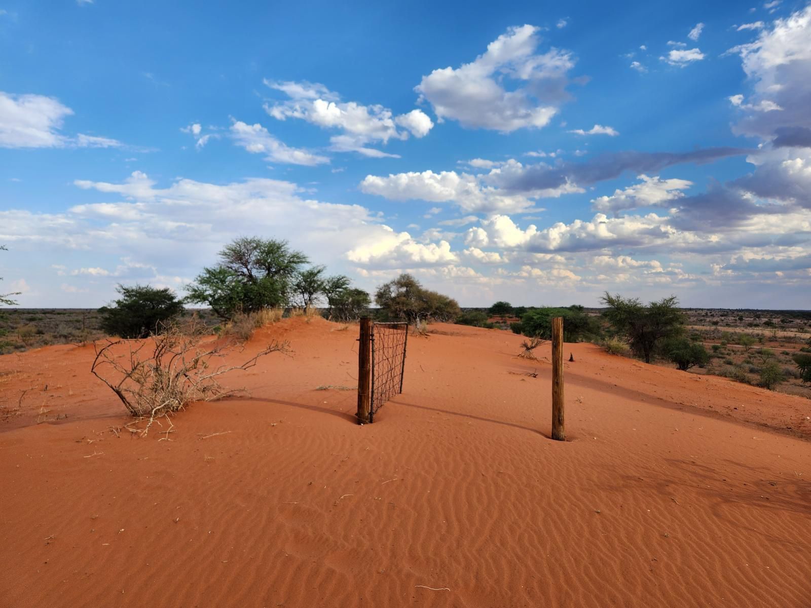 Jansen Kalahari Guest Farm, Desert, Nature, Sand, Lowland