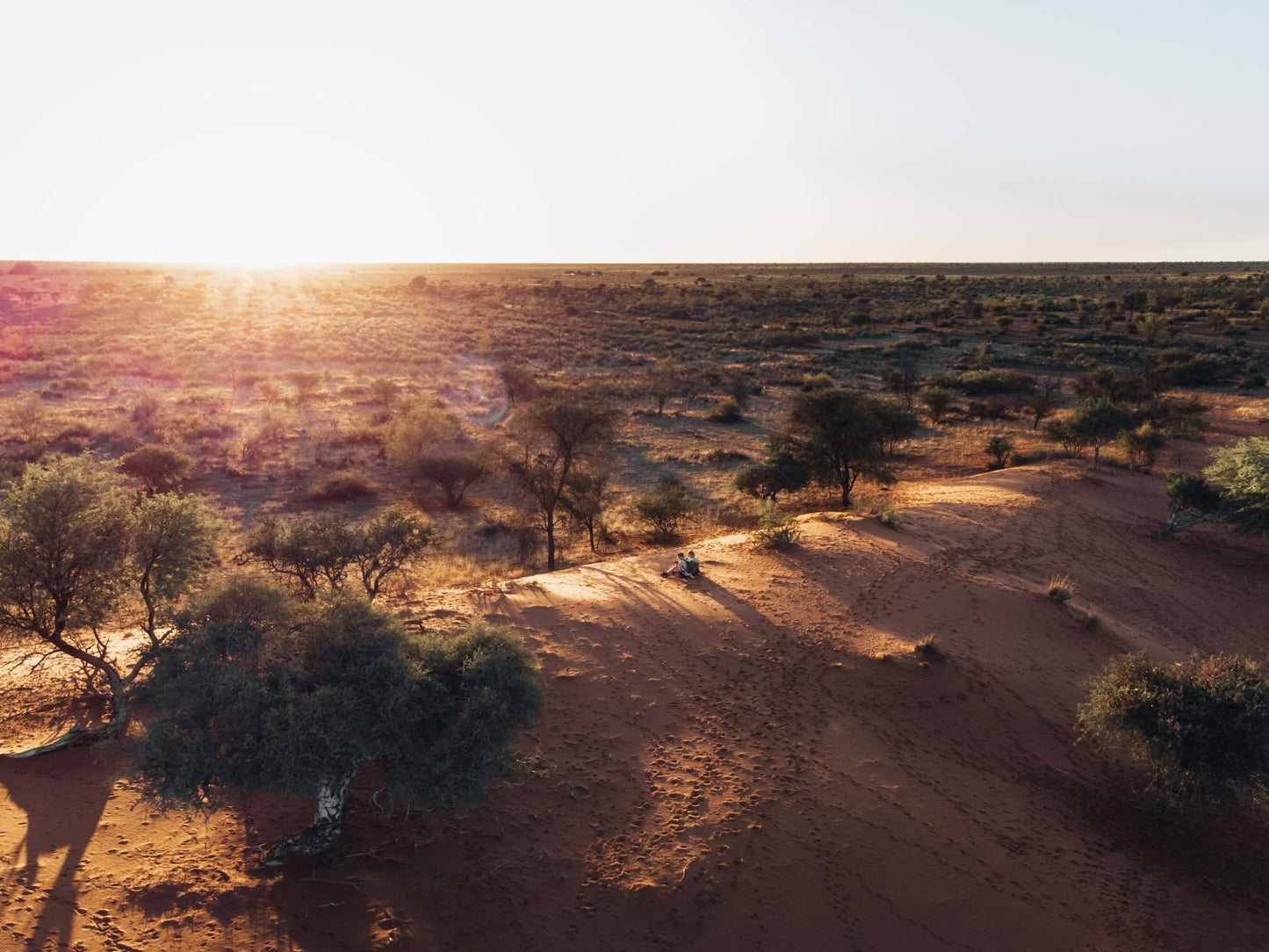 Jansen Kalahari Guest Farm, Desert, Nature, Sand