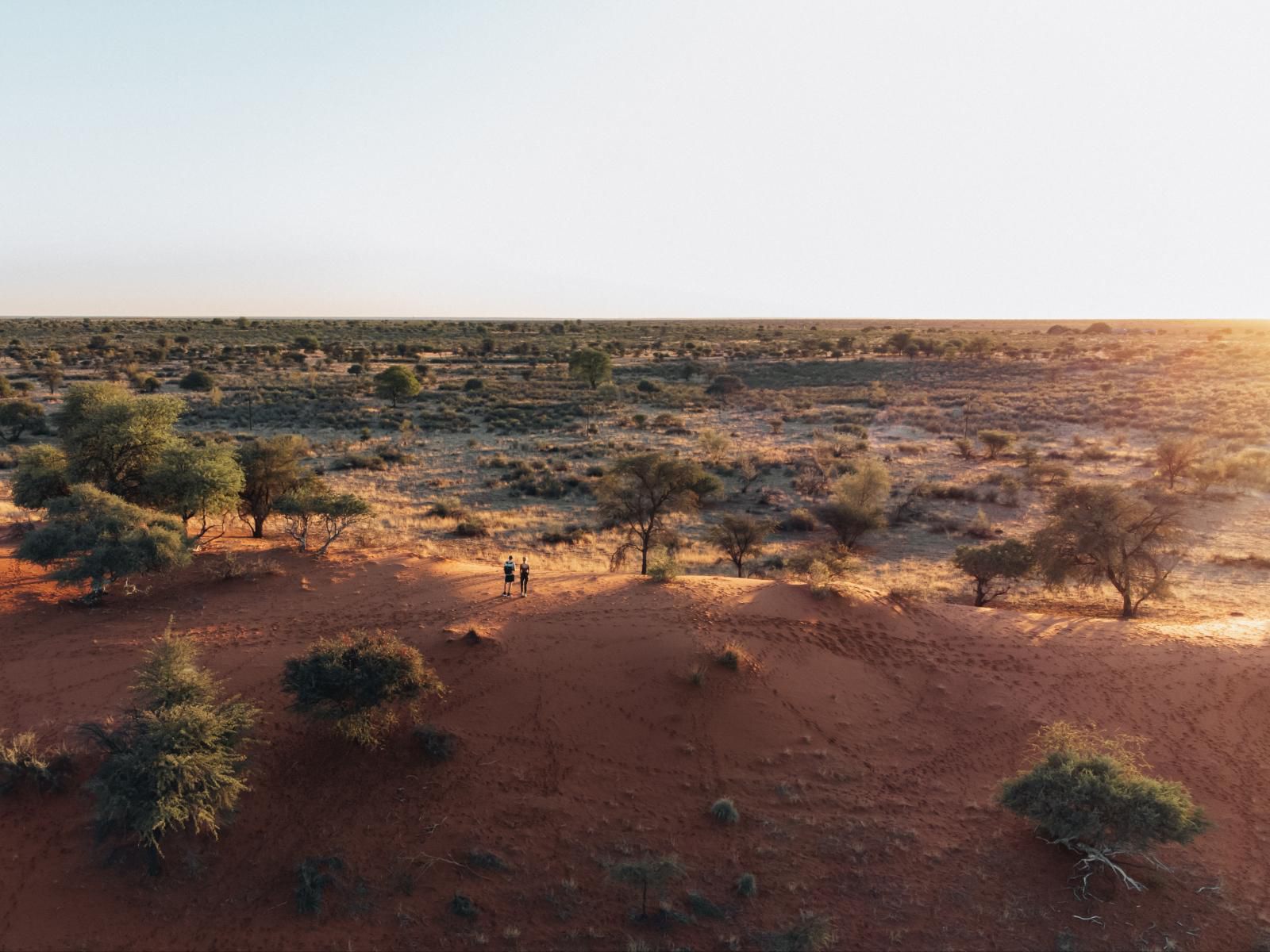 Jansen Kalahari Guest Farm, Desert, Nature, Sand, Lowland