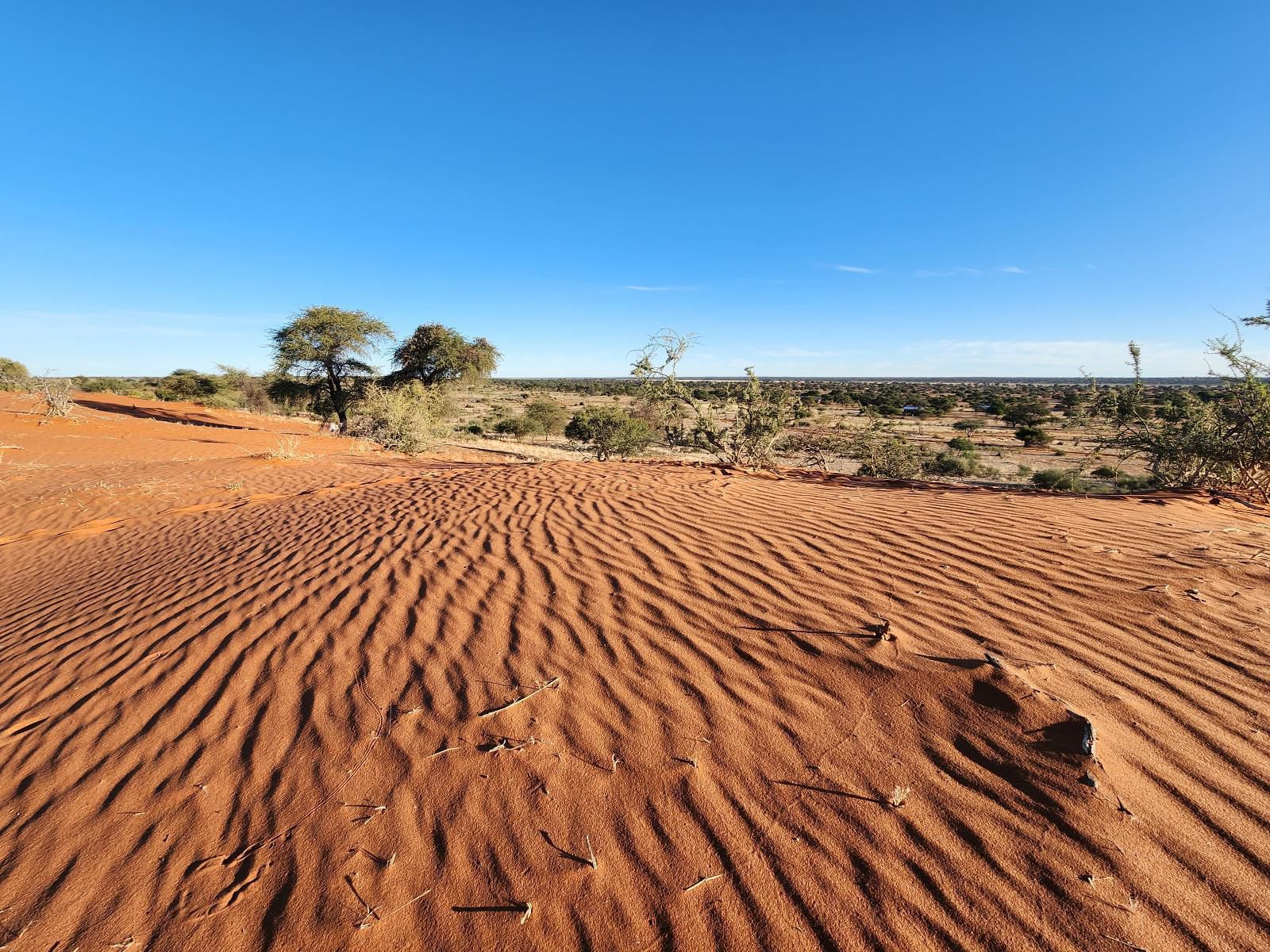 Jansen Kalahari Guest Farm, Colorful, Desert, Nature, Sand, Lowland