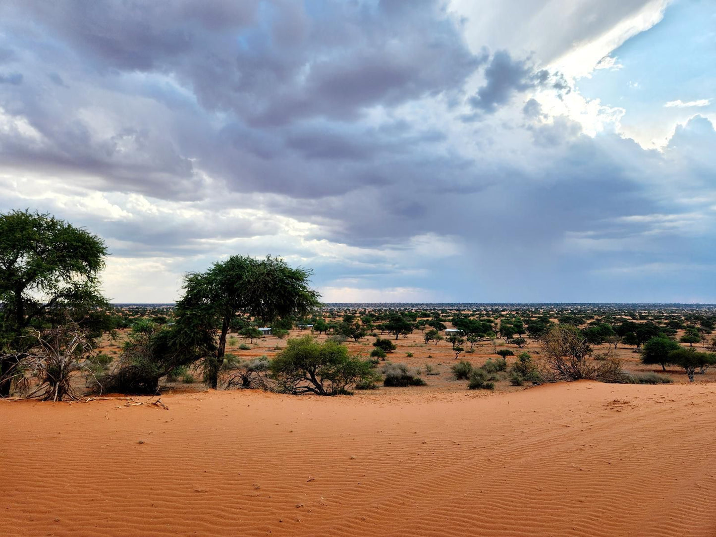 Jansen Kalahari Guest Farm, Desert, Nature, Sand, Lowland