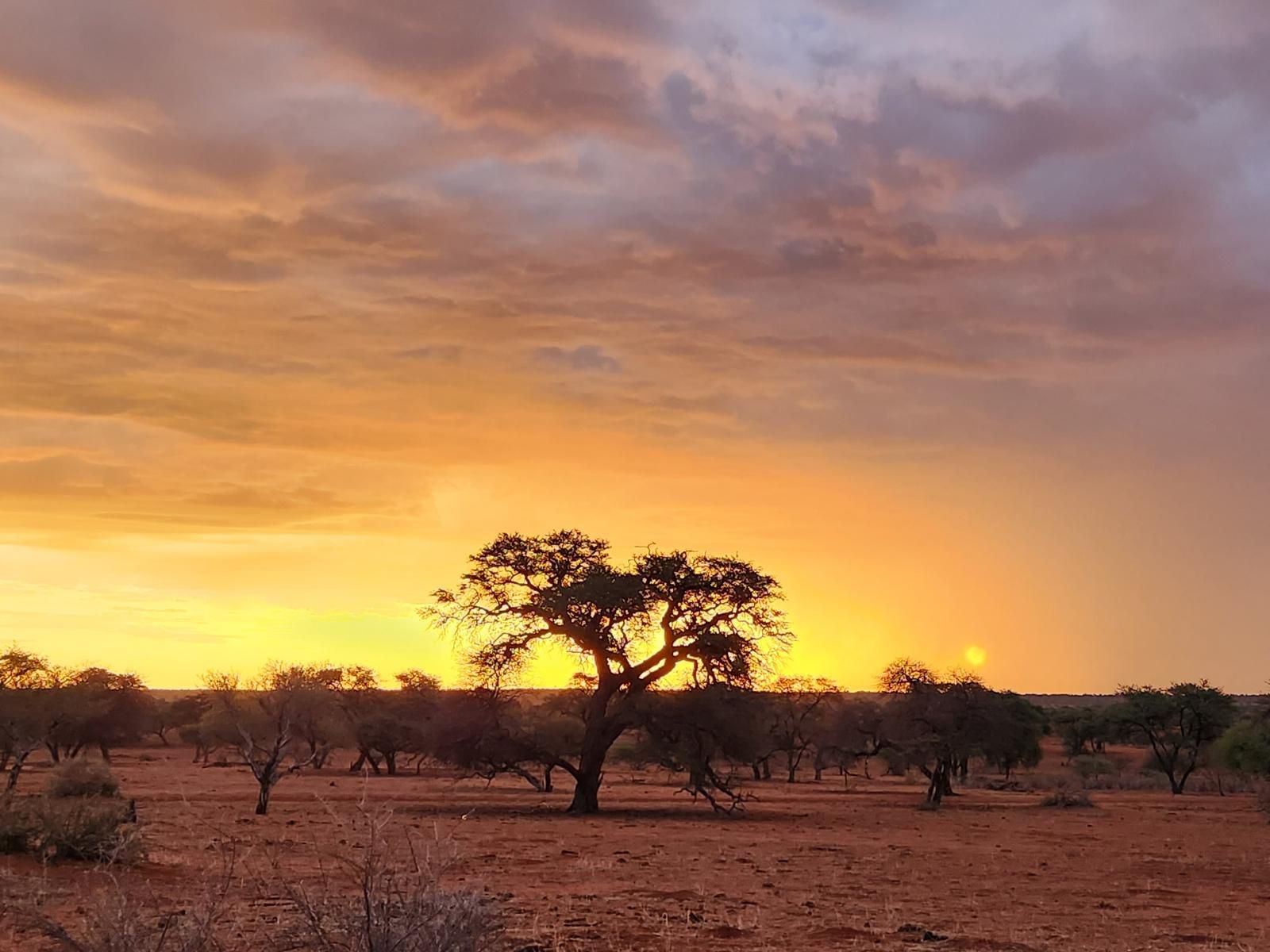 Jansen Kalahari Guest Farm, Lowland, Nature, Sunset, Sky