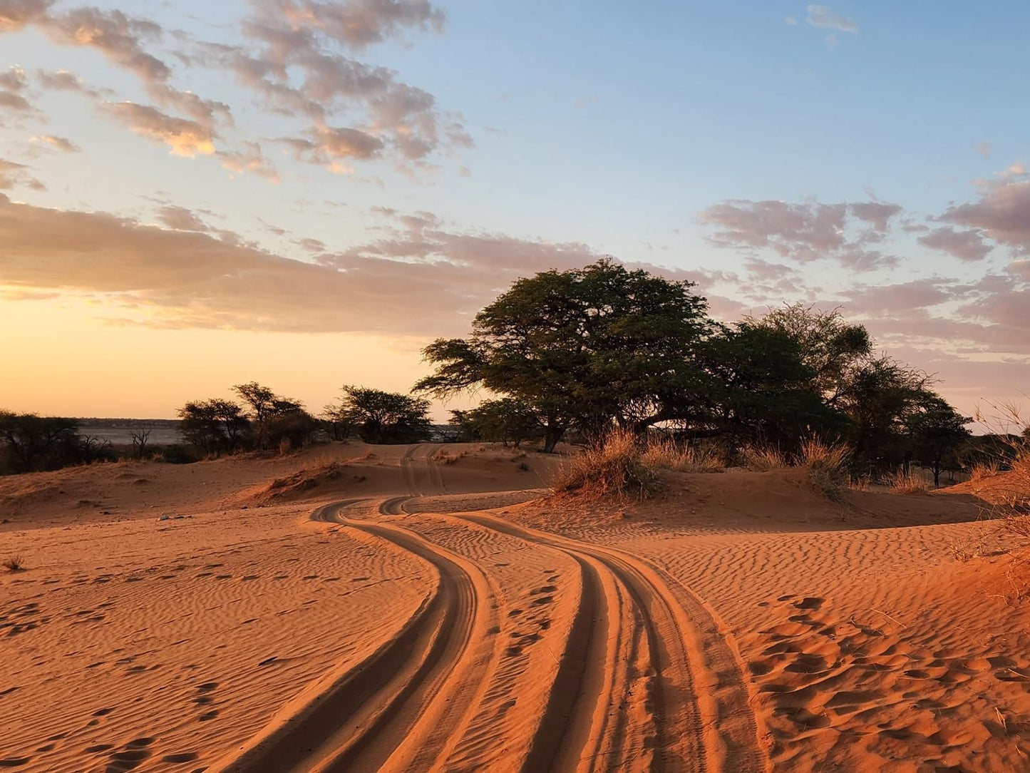 Jansen Kalahari Guest Farm, Beach, Nature, Sand, Desert