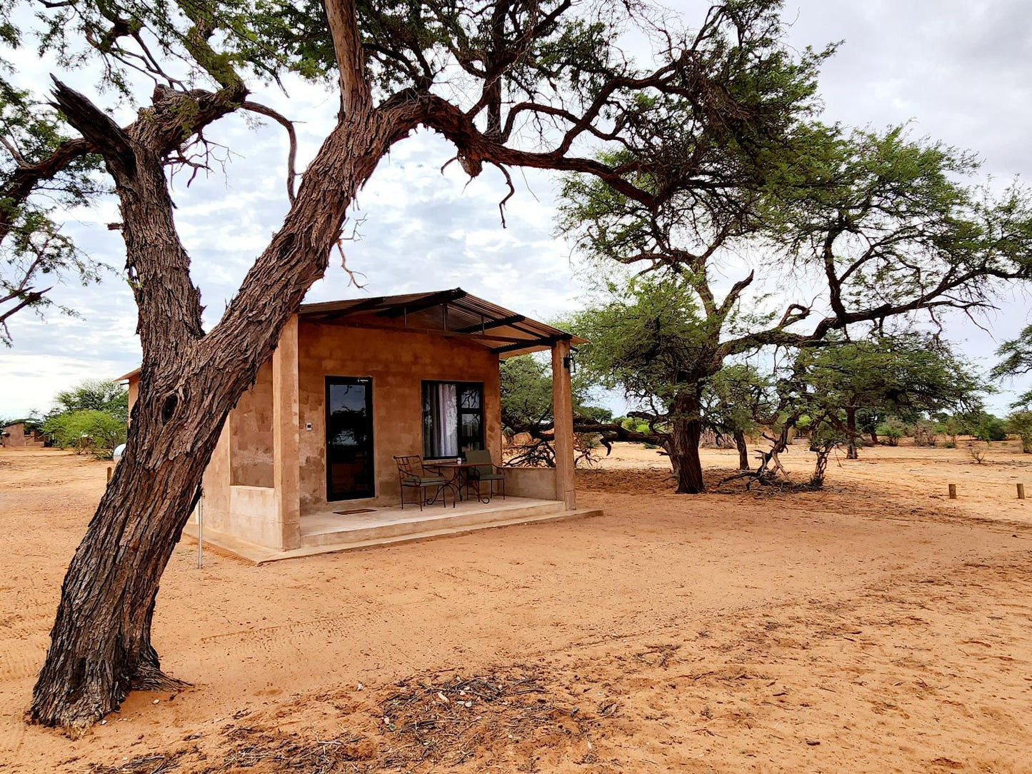 Jansen Kalahari Guest Farm, Ana Tree