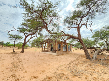 Jansen Kalahari Guest Farm, Ana Tree, Desert, Nature, Sand