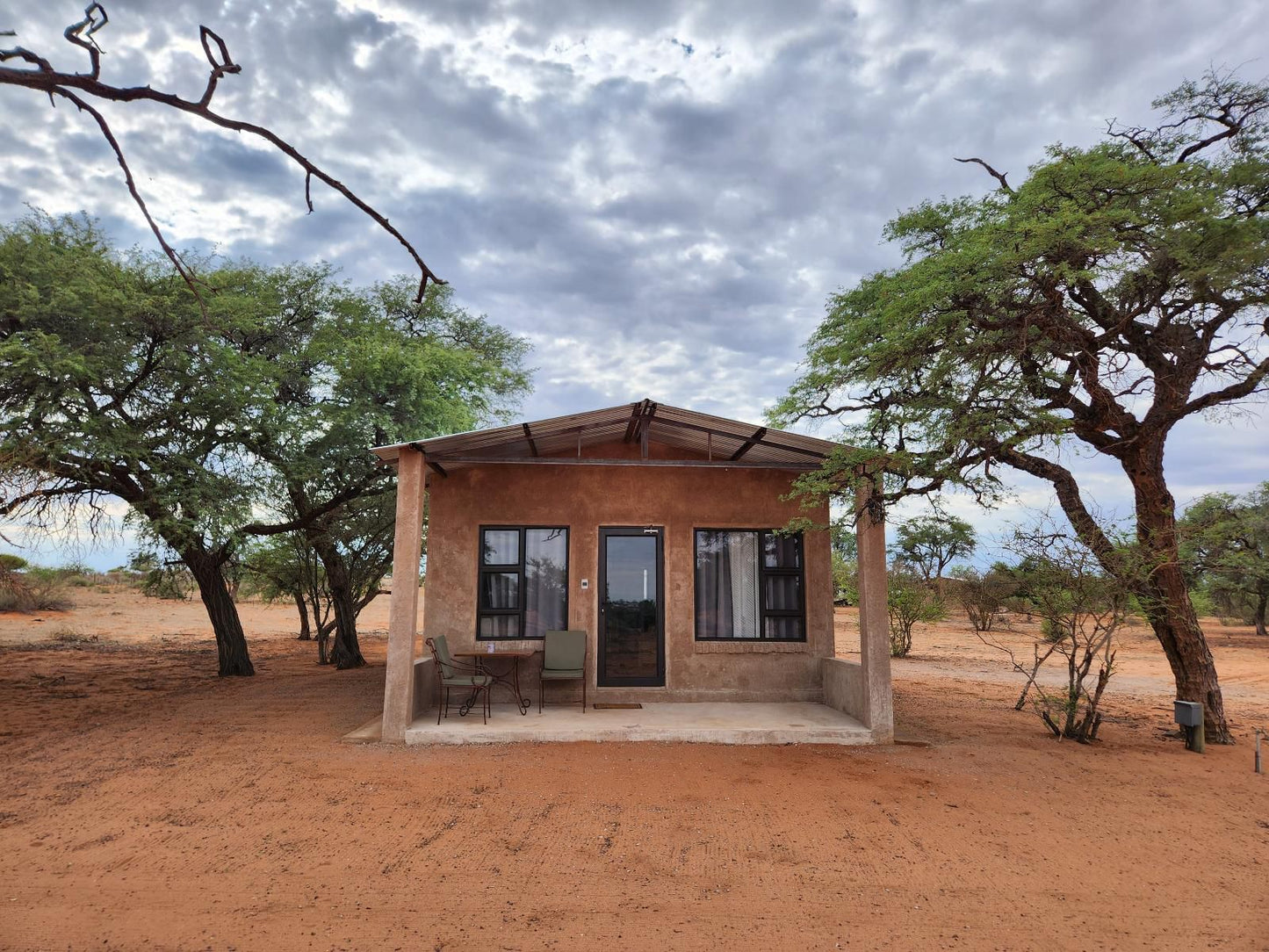 Jansen Kalahari Guest Farm, Aru Tree, Desert, Nature, Sand