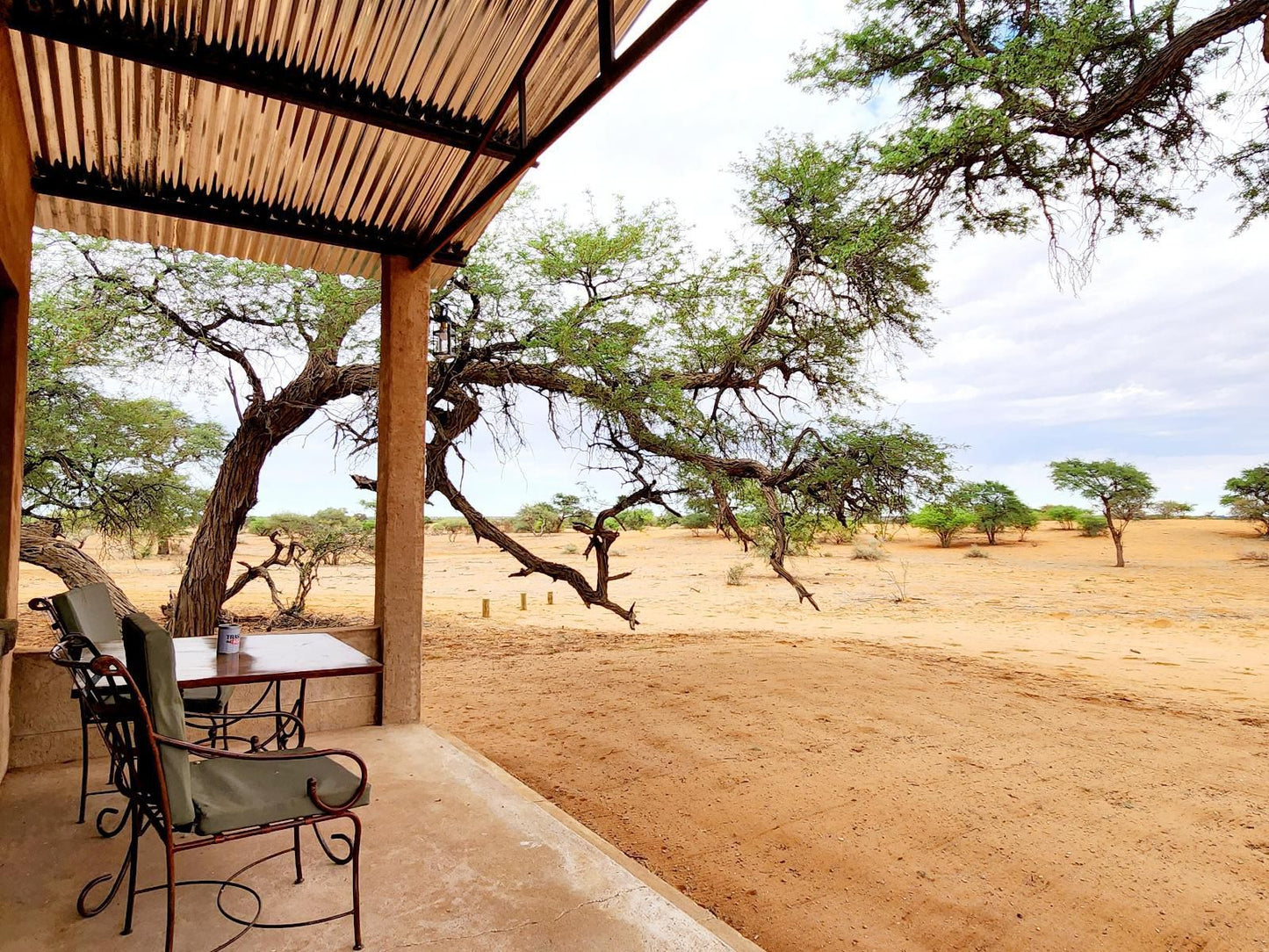 Jansen Kalahari Guest Farm, Shepherds Tree