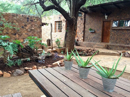 Javavu Game Farm And Lodge Thabazimbi Limpopo Province South Africa Plant, Nature, Garden
