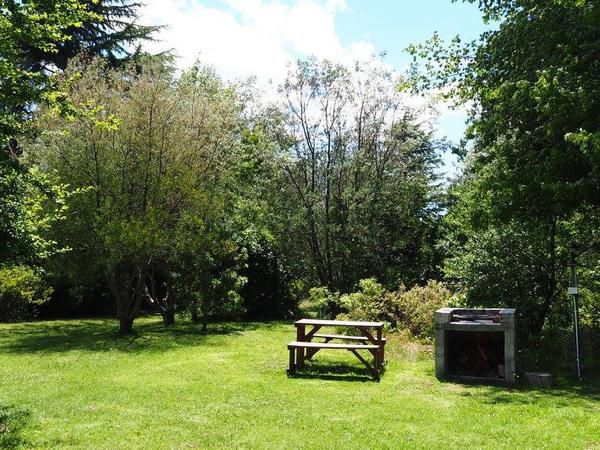 Jaya S Place Hogsback Eastern Cape South Africa Meadow, Nature, Tree, Plant, Wood, Garden