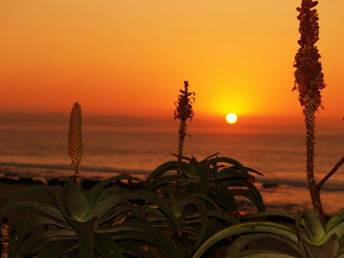 Jbay Escapes, Sepia Tones, Beach, Nature, Sand, Sunset, Sky