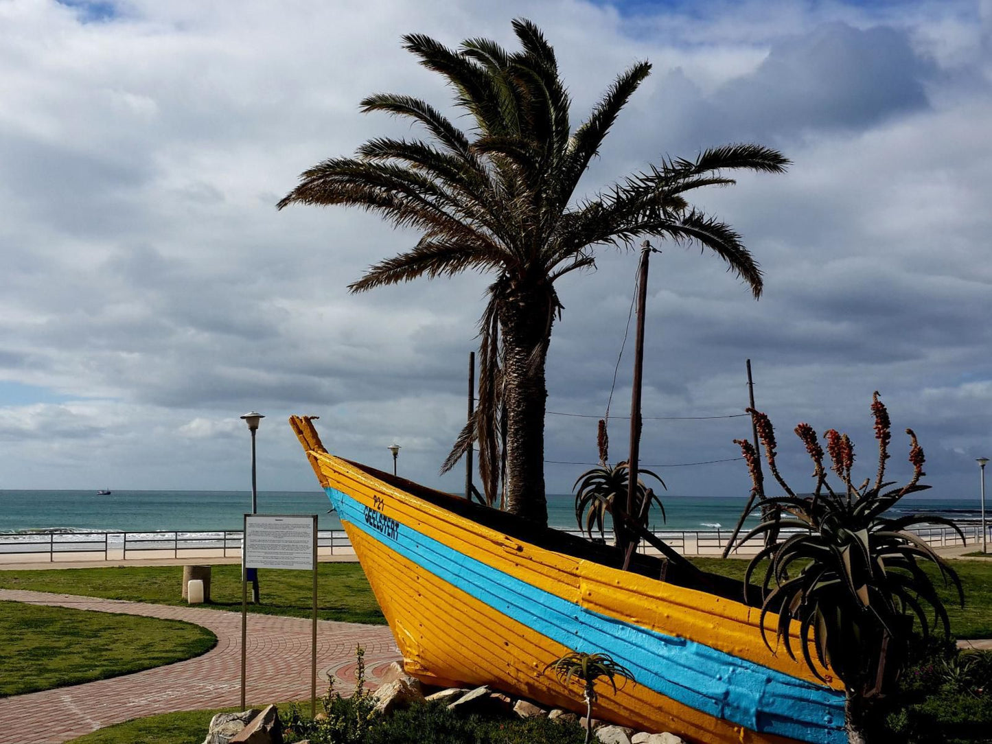 Jbay Escapes, Beach, Nature, Sand, Palm Tree, Plant, Wood