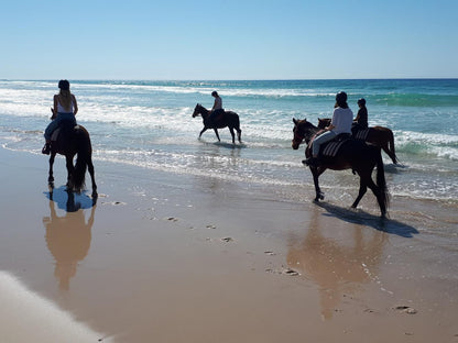 Jbay Escapes, Horse, Mammal, Animal, Herbivore, Beach, Nature, Sand, Ocean, Waters, Person